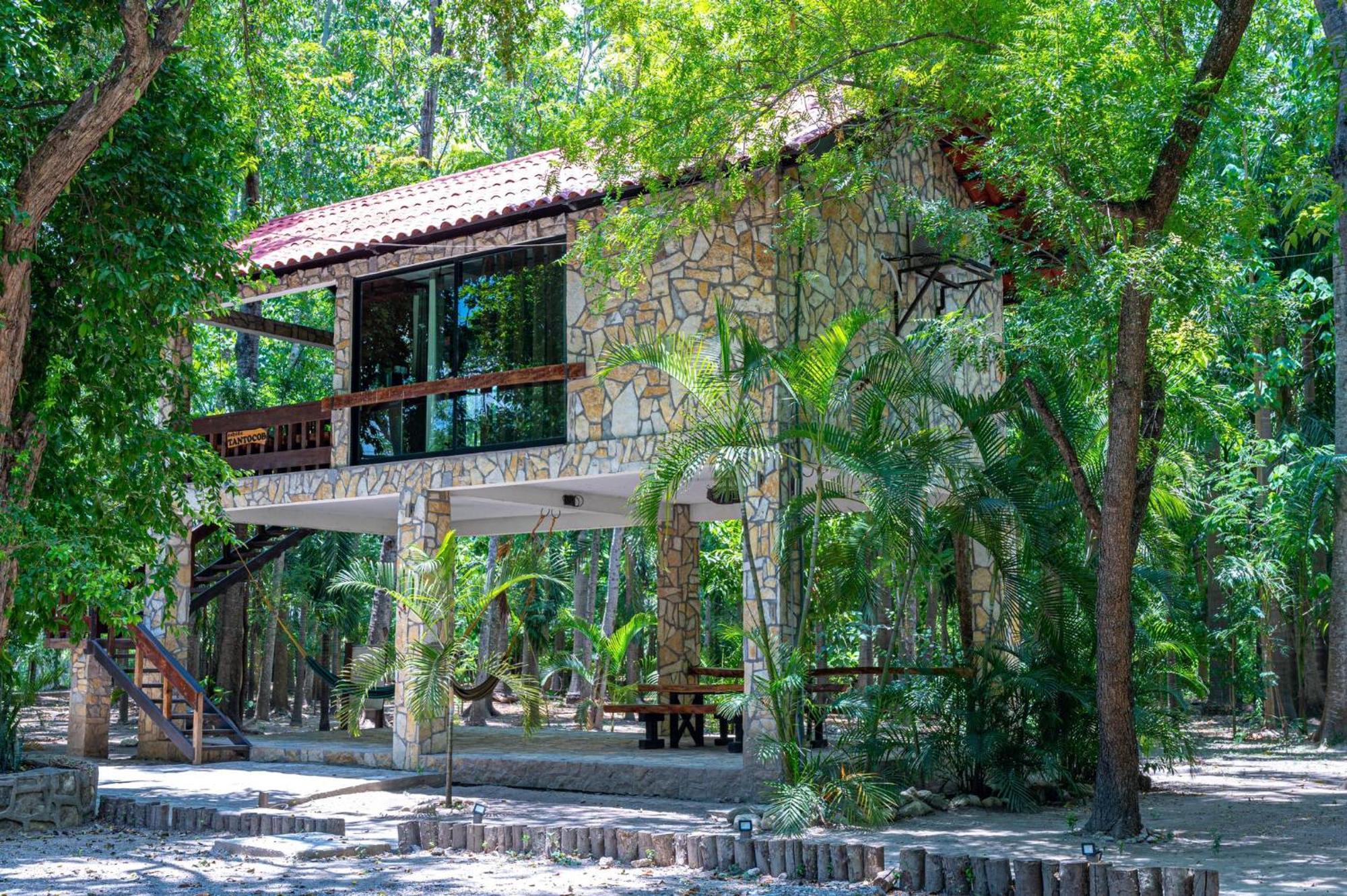 Cabanas Bosque Tantocob Ciudad Valles Exteriör bild